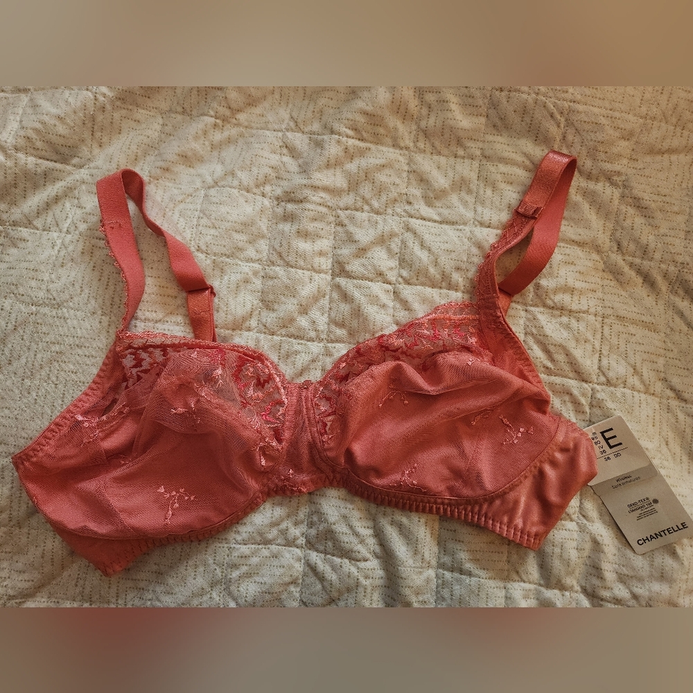 Sheer Chantelle Bra 36DD